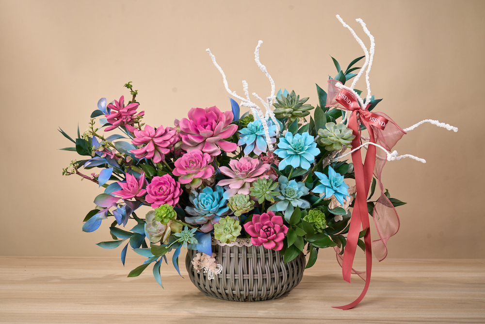 VSenda: Nâng tầm giá trị cho hoa sen đá