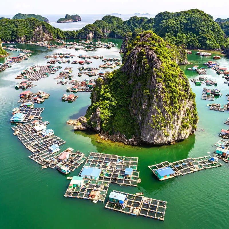 Sóng du lịch, giải trí Việt trong năm 2024