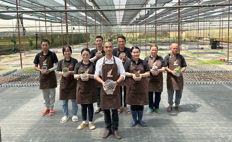 Sen đá được nghệ nhân nuôi trồng tại Vfarm Đà Lạt