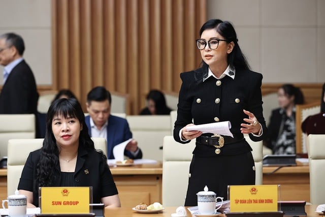 Bà Lê Hồng Thuỷ Tiên, Tổng Giám đốc Tập đoàn Liên Thái Bình (IPPG) đề xuất mở các Factory Outlet trong khu phi thuế quan. Ảnh: VGP