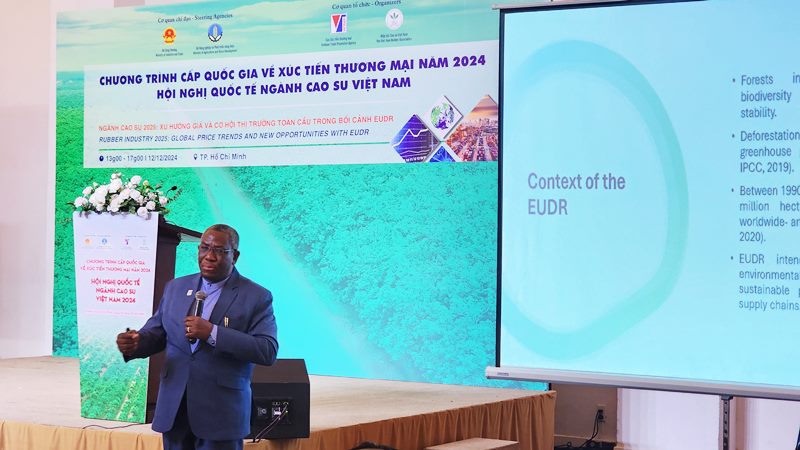 Ngành cao su 2025: Xu hướng giá và cơ hội thị trường toàn cầu trong bối cảnh EUDR