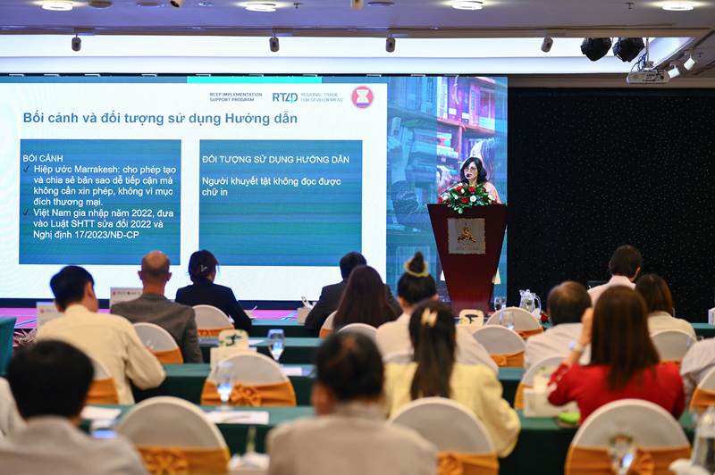 Tăng cường khả năng tiếp cận bản sao của tác phẩm dưới định dạng dễ tiếp cận cho người khuyết tật